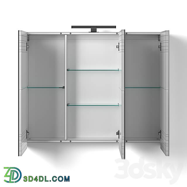 Mirror Hinged Cabinet ShNZ 28 100 OM MODEL 3D Models