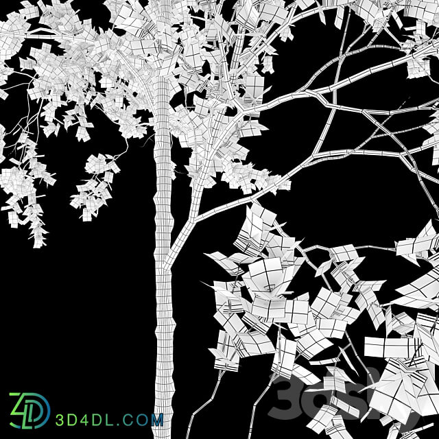 aspen tree set 3D Models