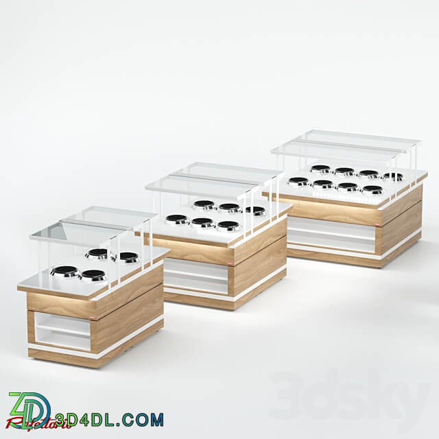 Bain marie for first courses 3 tureens 10l double RBN52HST ШС 3D Models