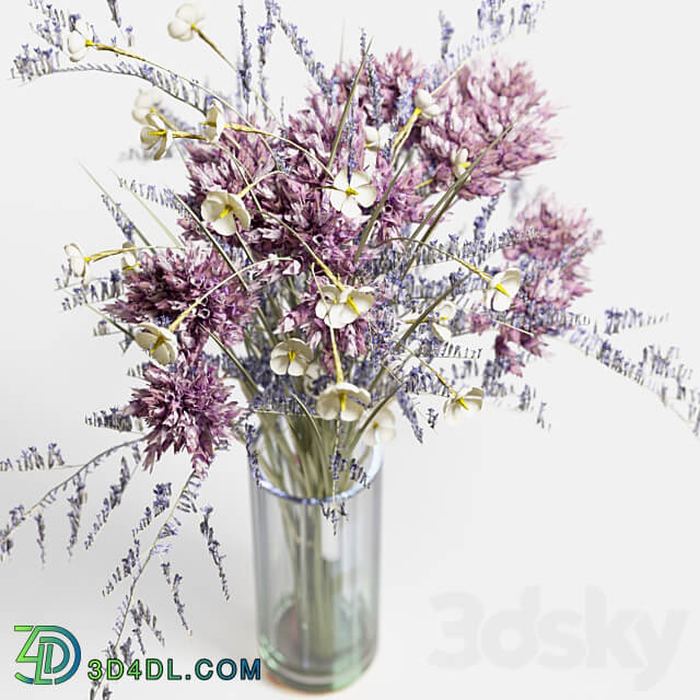 Bouquet of wild flowers 3D Models