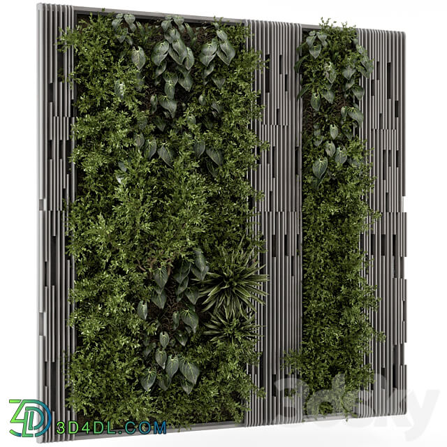 Indoor Wall Vertical Garden in Wooden Base Set 864 Fitowall 3D Models