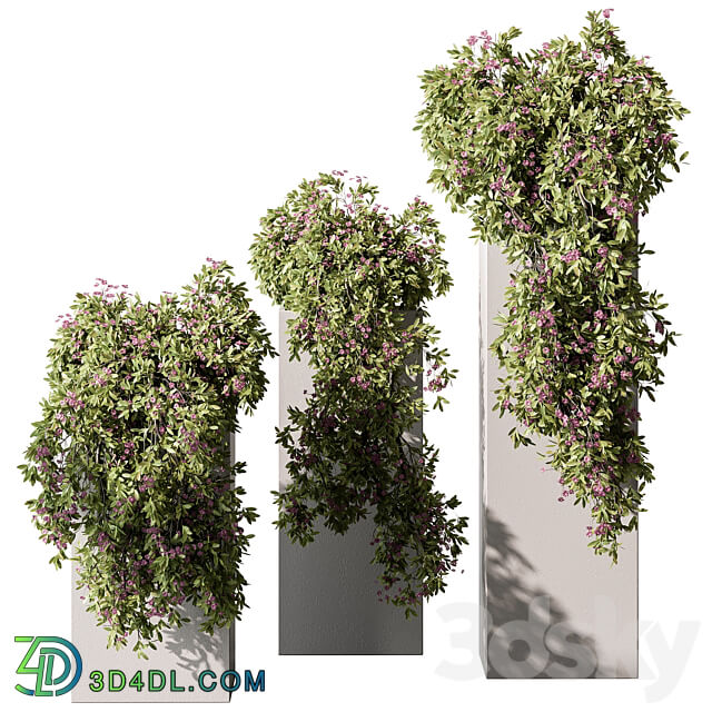 Hanging Plant in Box Outdoor Plants 454 3D Models