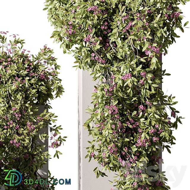 Hanging Plant in Box Outdoor Plants 454 3D Models