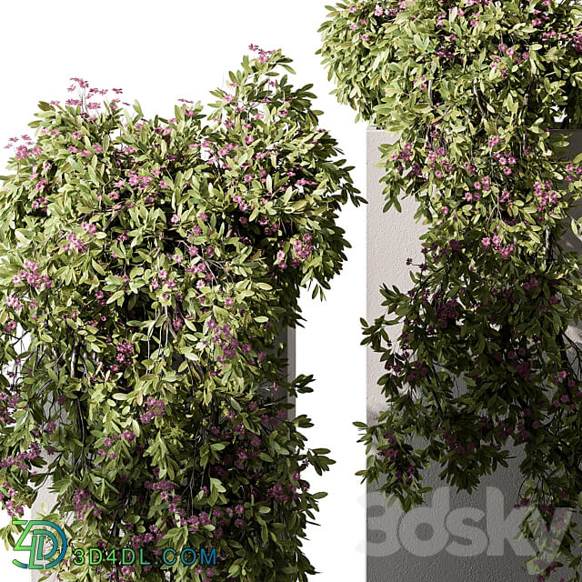 Hanging Plant in Box Outdoor Plants 454 3D Models