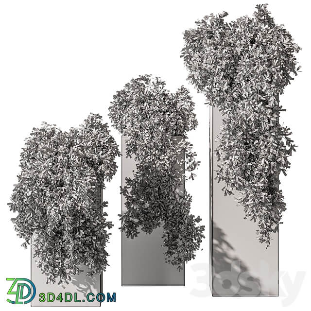 Hanging Plant in Box Outdoor Plants 454 3D Models