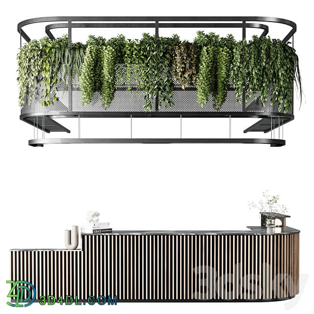 Coffee shop reception Restaurant counter by hanging plant 03 3D Models