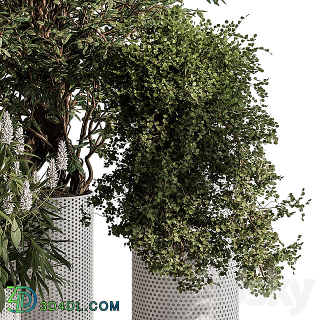 indoor Plant 431 Tree and Bush 3D Models
