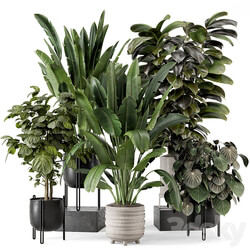 Indoor Plants in Ferm Living Bau Pot Large Set 1208 
