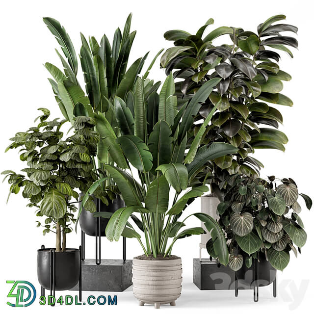 Indoor Plants in Ferm Living Bau Pot Large Set 1208