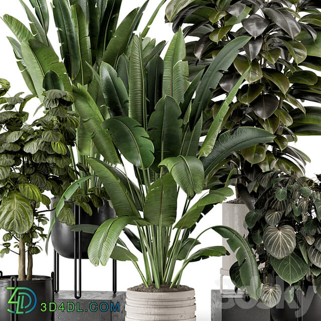 Indoor Plants in Ferm Living Bau Pot Large Set 1208