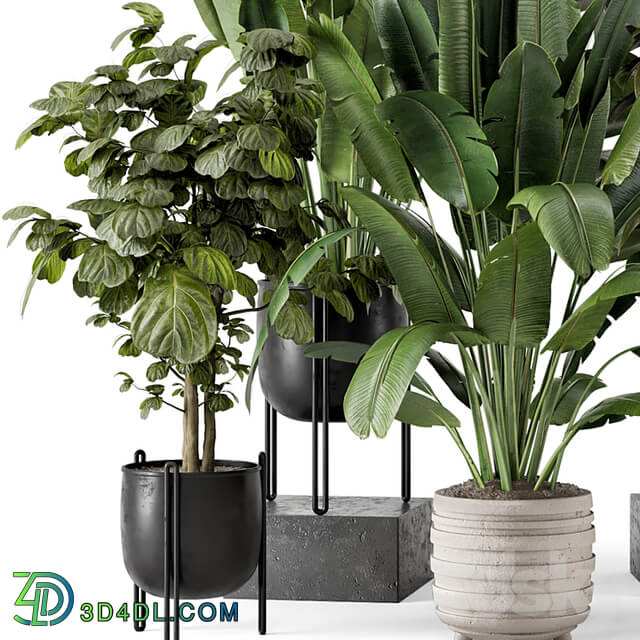 Indoor Plants in Ferm Living Bau Pot Large Set 1208