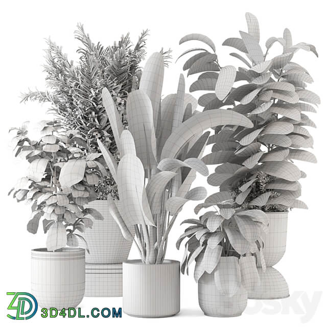 Indoor Plants in rusty Concrete Pot Set 1265