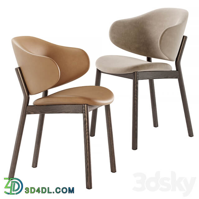 Holly chairs by Calligaris