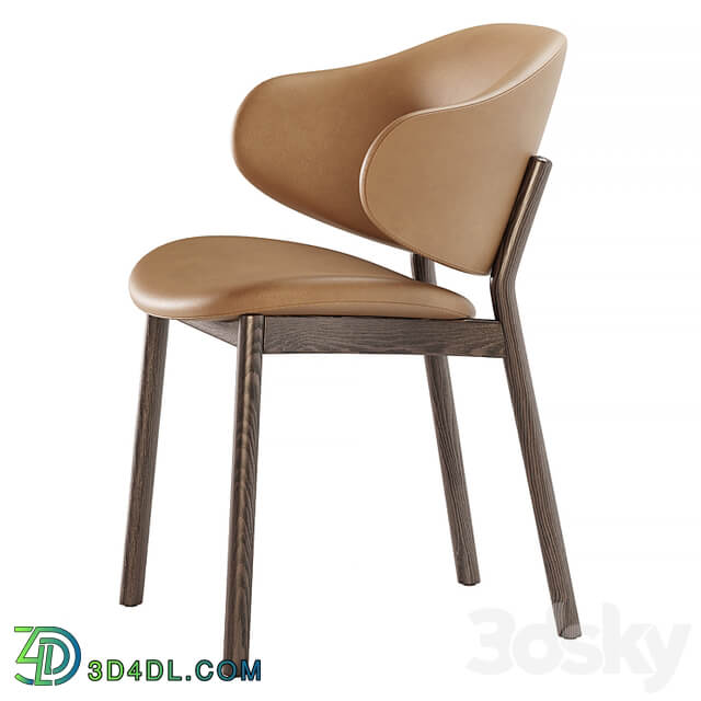 Holly chairs by Calligaris