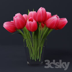 Tulips in a vase 3D Models 