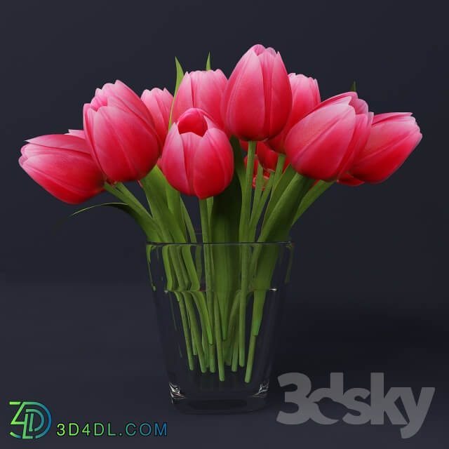 Tulips in a vase 3D Models