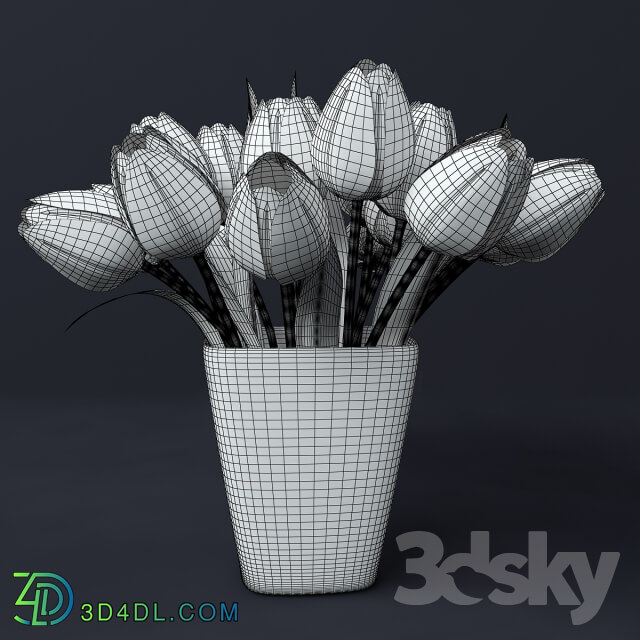 Tulips in a vase 3D Models