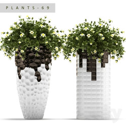 PLANTS 69 Outdoor 3D Models 