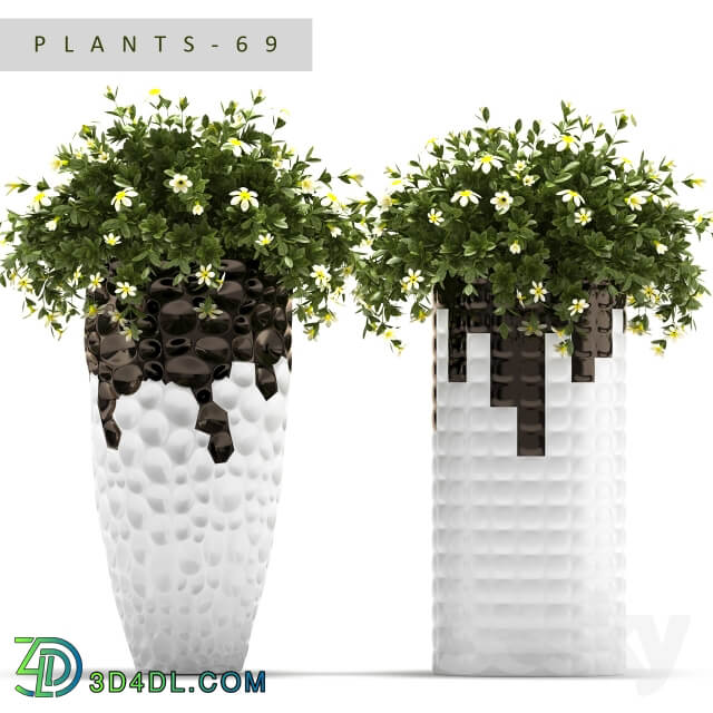 PLANTS 69 Outdoor 3D Models