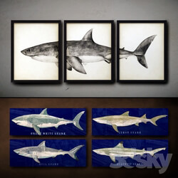 Wooden panels. 37. Collection of marine theme. Sharks 