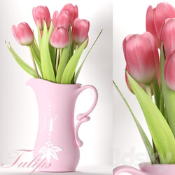 TULIP 8 3D Models 