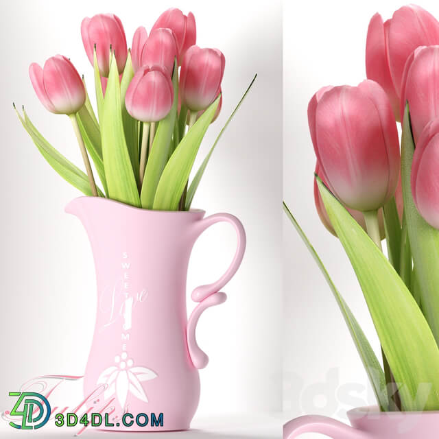 TULIP 8 3D Models