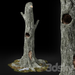 Dead tree Chestnut 3D Models 