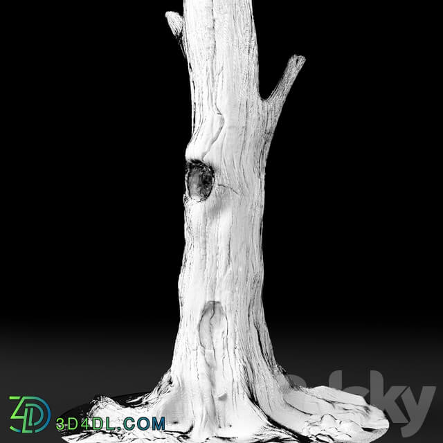 Dead tree Chestnut 3D Models