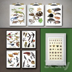 Botanical Vintage Book Pages. 24 Prints set 3  