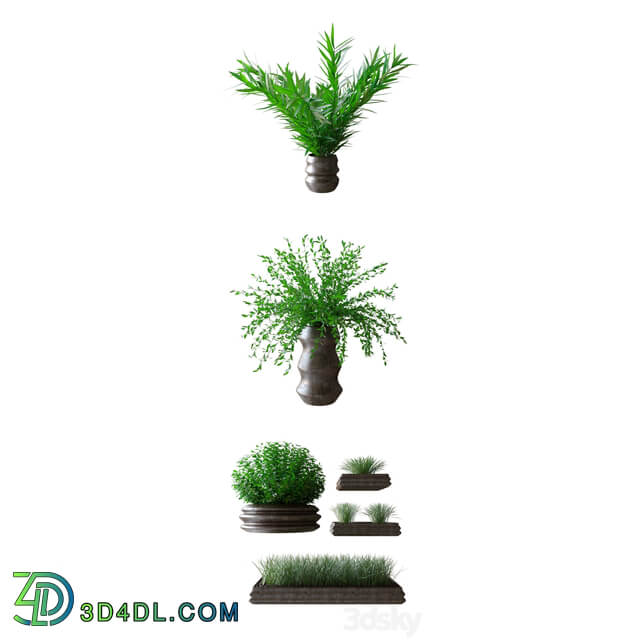 Plants Plants in pots 3D Models