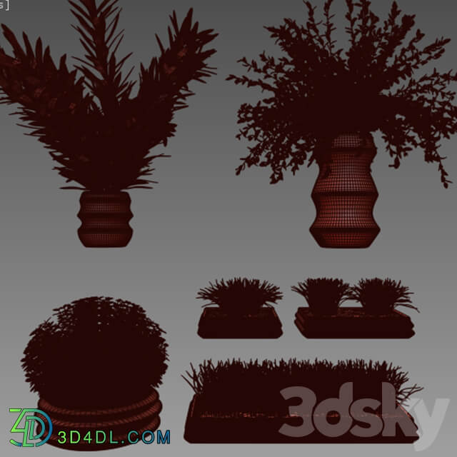 Plants Plants in pots 3D Models