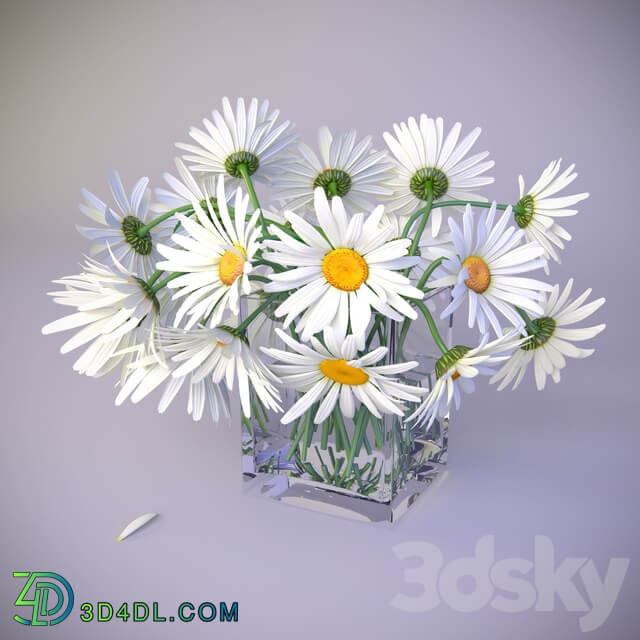 Bouquet of daisies 3D Models