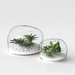 Organic Form Terrariums 3D Models 