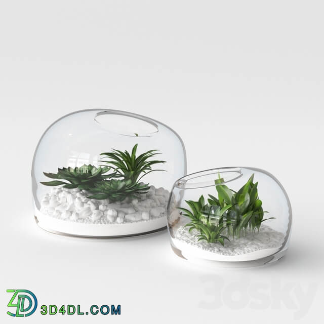 Organic Form Terrariums 3D Models