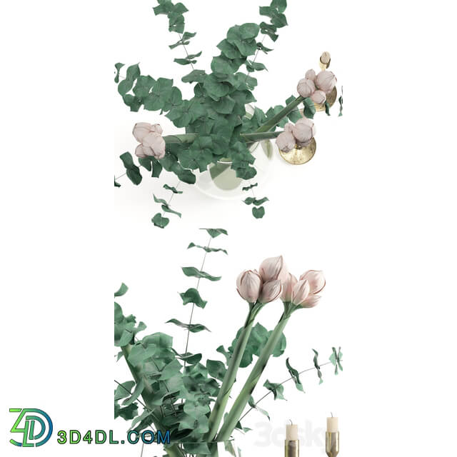 Vase with Flowers 3D Models