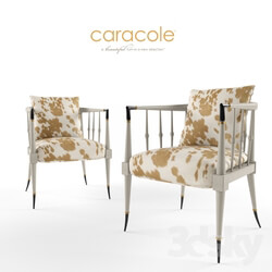 caracole hide nor chair 