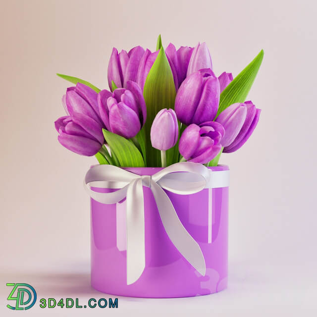 Tulips 3D Models