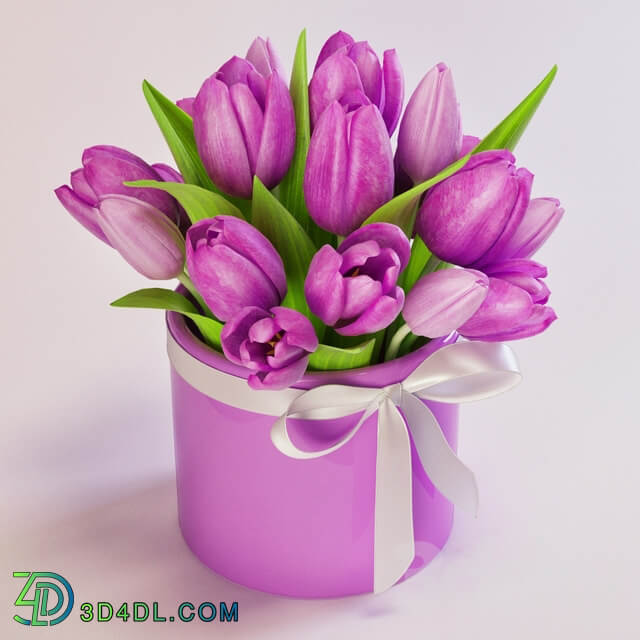 Tulips 3D Models