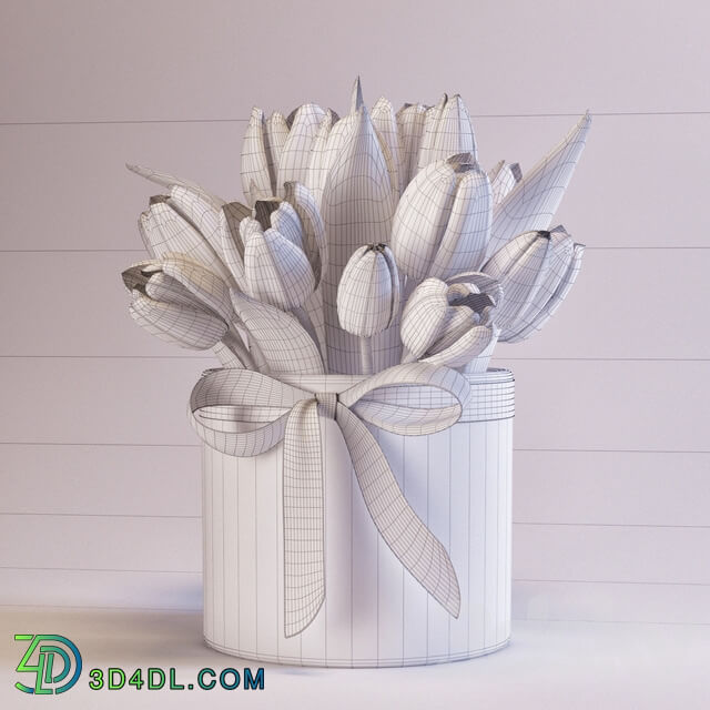 Tulips 3D Models