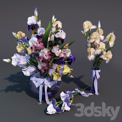 Irises 3D Models 