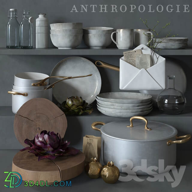 Anthropologie