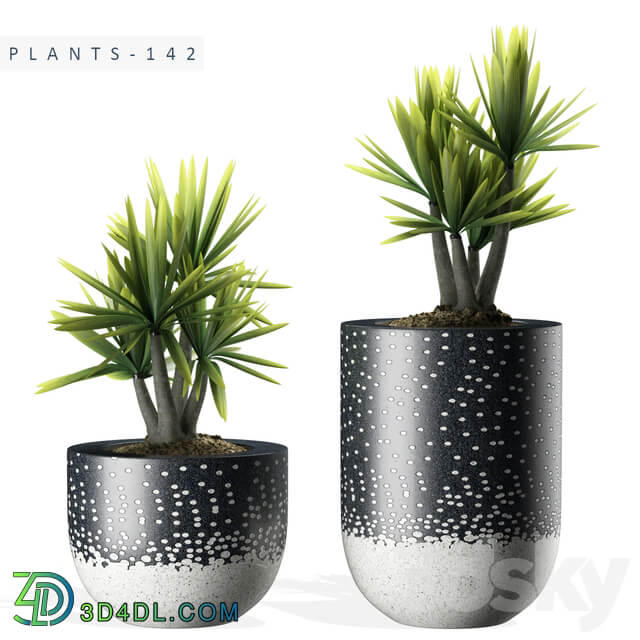 PLANTS 142 3D Models