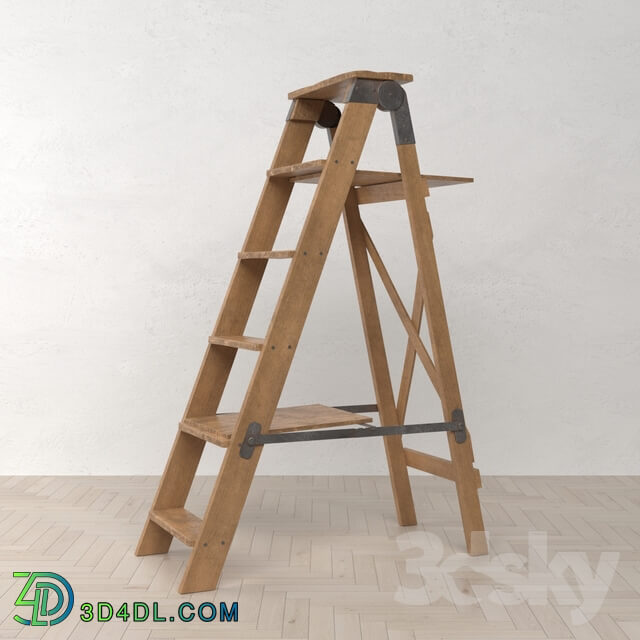 Old Ladder