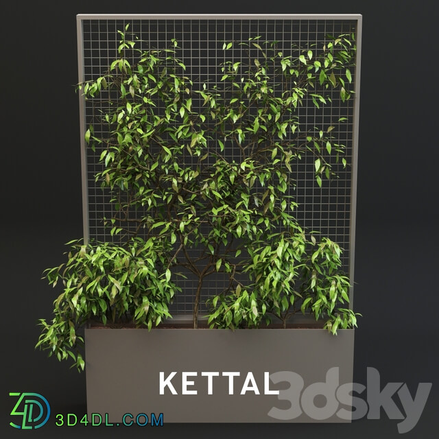 Kettal Pavilion XL Planter With Plants 3D Models