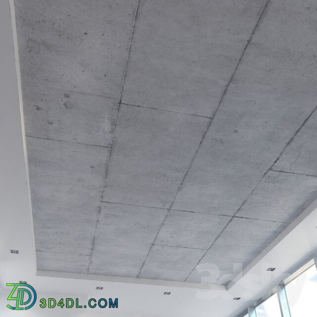 Miscellaneous Ceiling concrete with seams