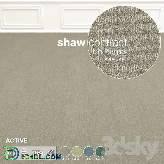 Shaw Carpet Active Wall to Wall Floor No 10