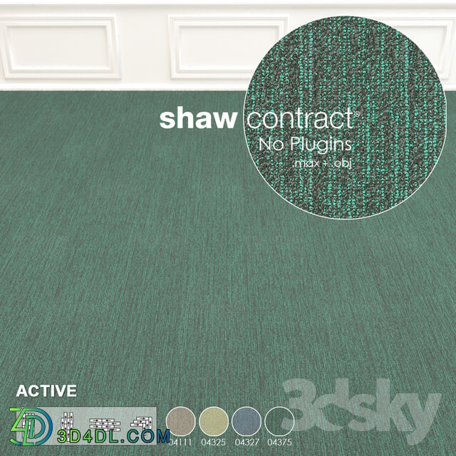 Shaw Carpet Active Wall to Wall Floor No 10