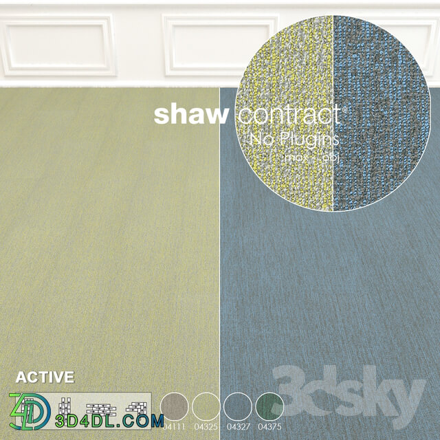 Shaw Carpet Active Wall to Wall Floor No 10