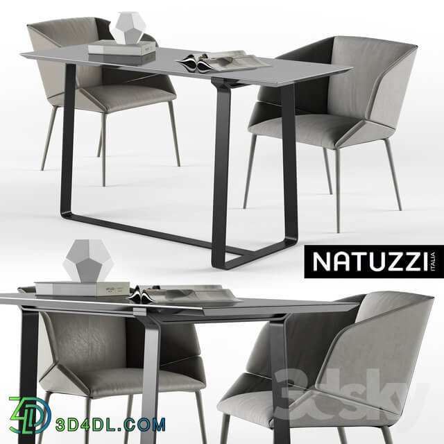 Table Chair Natuzzi