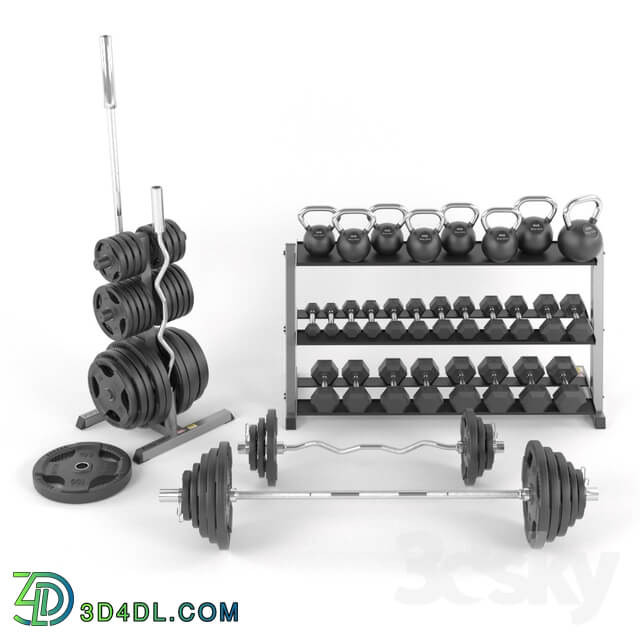 A set of weights for the gym from BodySolid